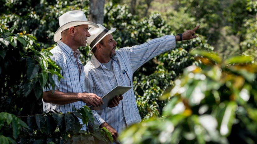 Coffee farmers