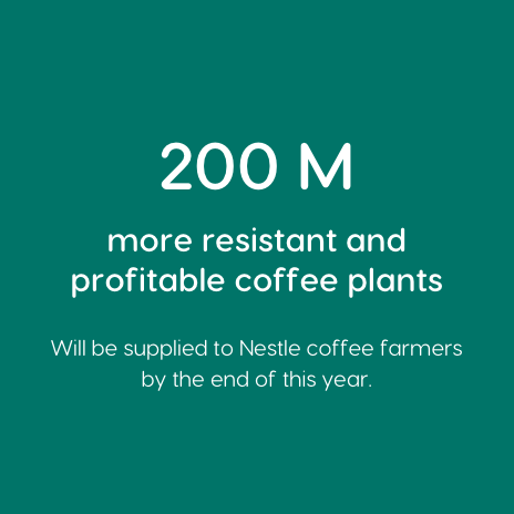 Information for coffee farmers