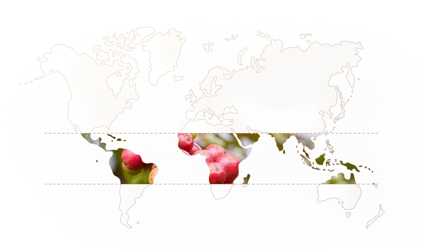 World coffee map